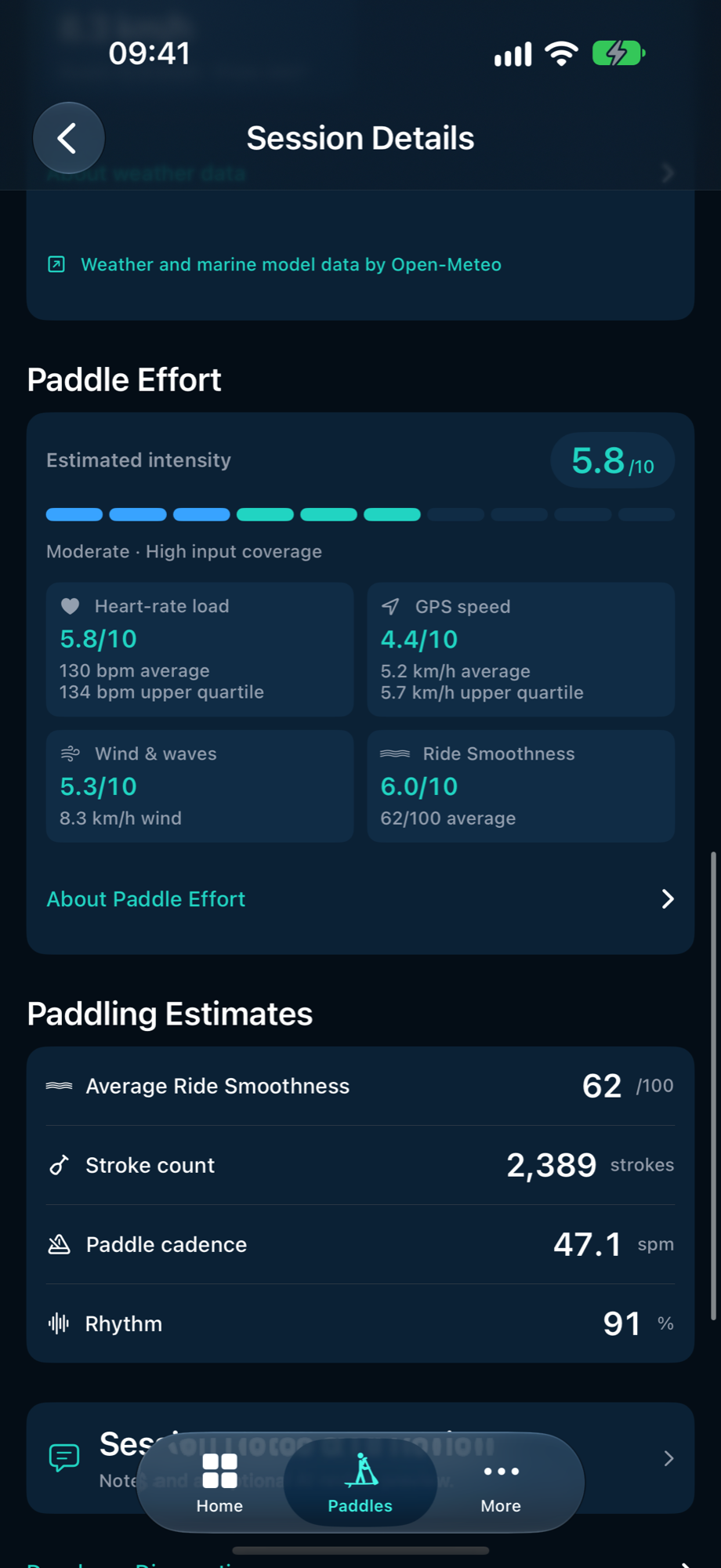 PaddleForm Paddling Estimates showing Ride Smoothness, stroke count, Paddle cadence and Rhythm for the demonstration paddle.